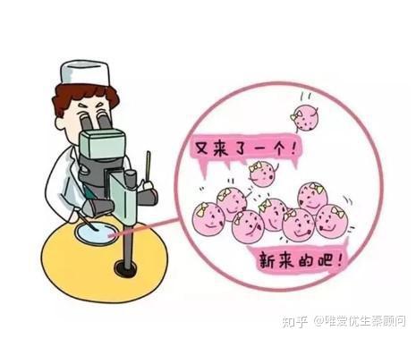东莞招聘捐卵女孩机构