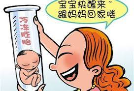 上海捐卵公司