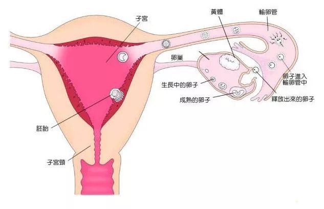 志愿者