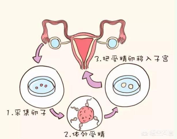 上海车险公司排名