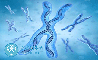 上海高薪招聘捐卵